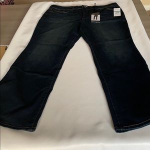 Sofia Vergara+size 16 short+dark wash